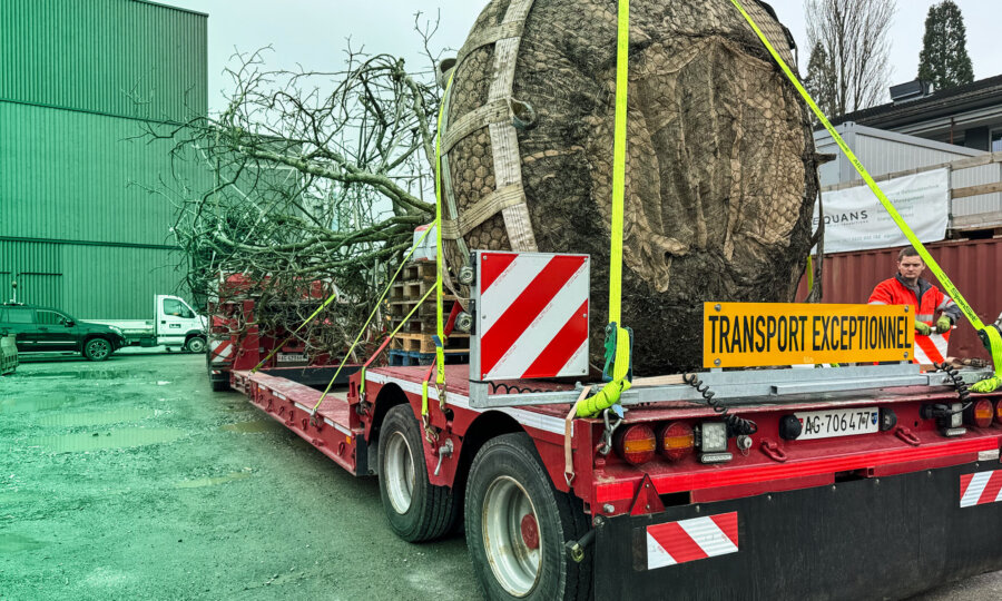 Kieser AG Dienstleistungen Transport 02